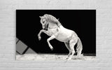 ŞAHLANAN BEYAZ AT CAM TABLO 153