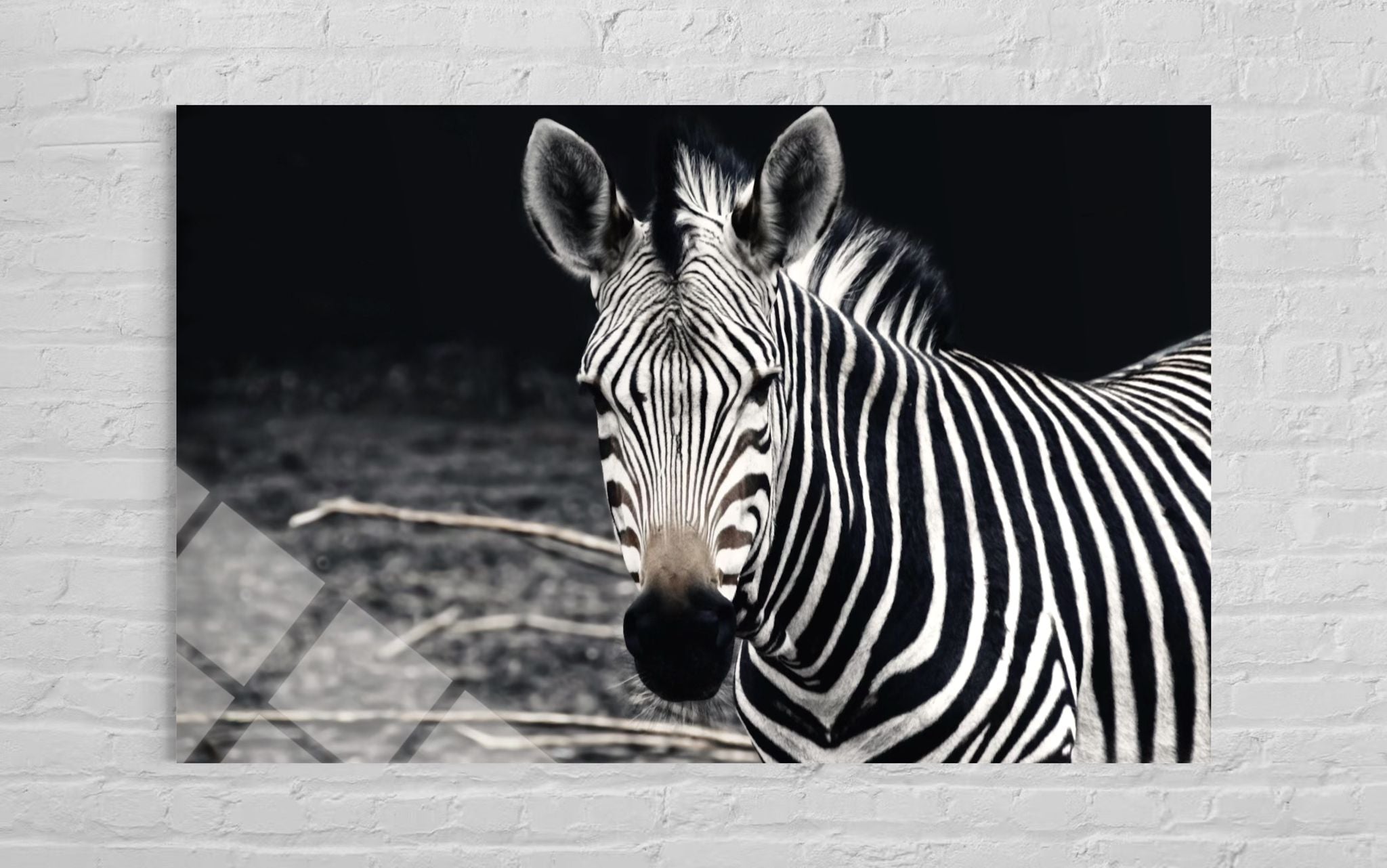 ZEBRA CAM TABLO 196