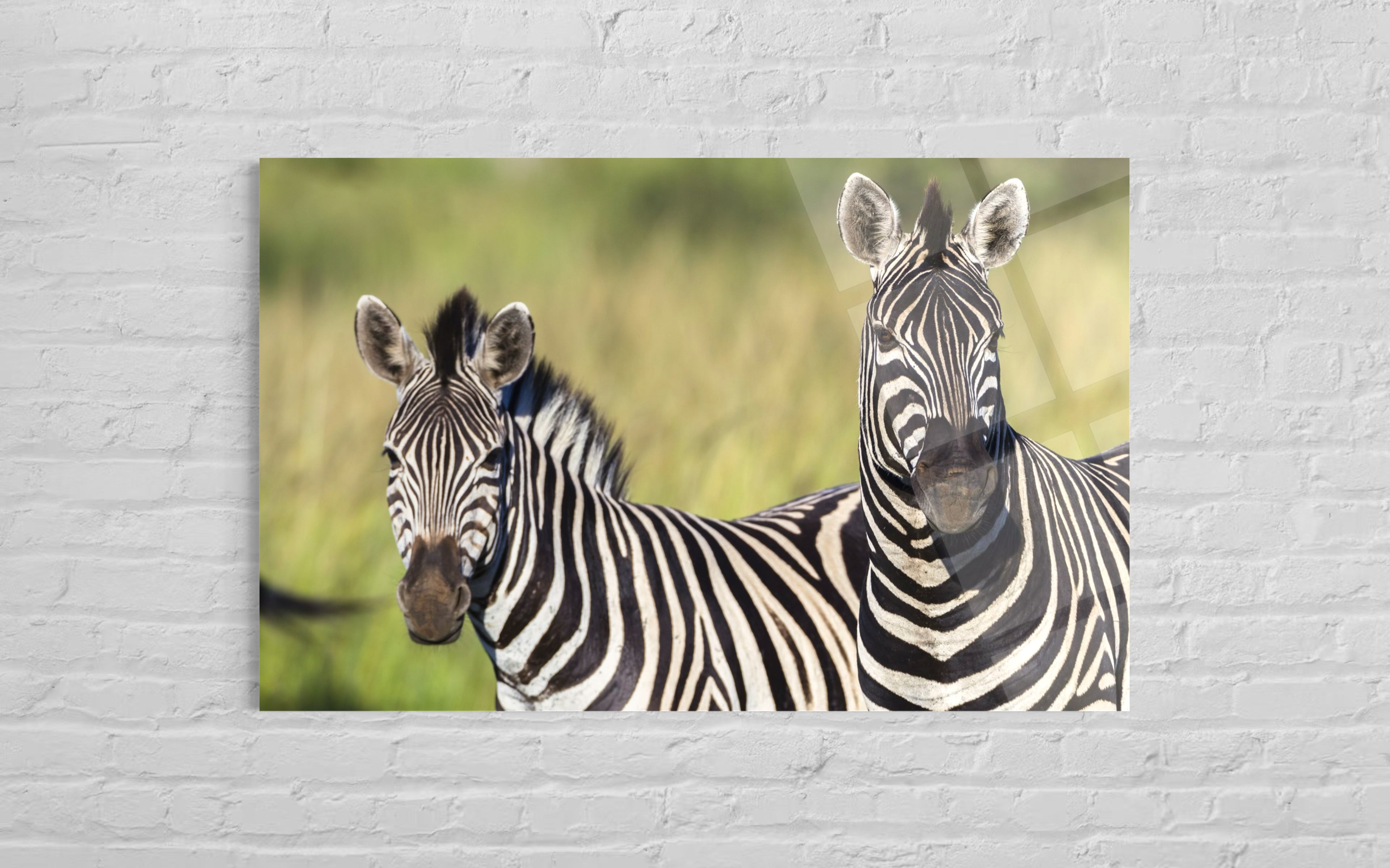 ZEBRA CAM TABLO 238