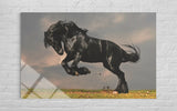 SİYAH AT
