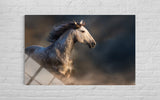 AT