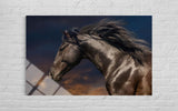 SİYAH AT