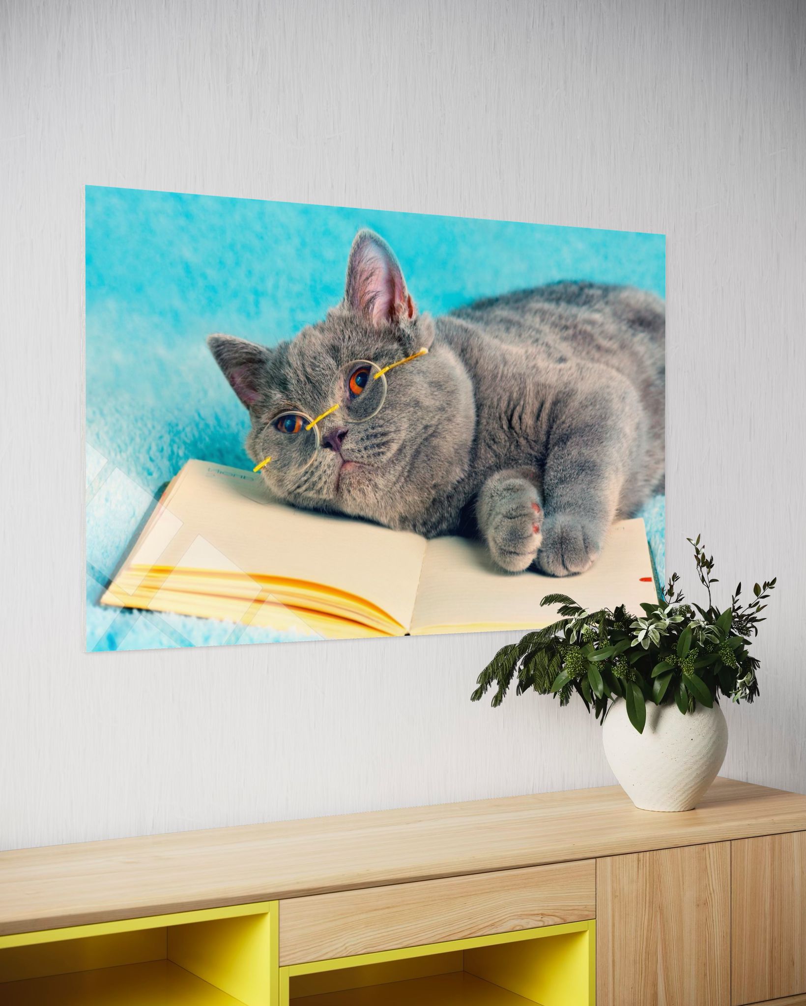 KEDİ