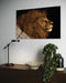 ASLAN