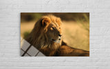 ASLAN
