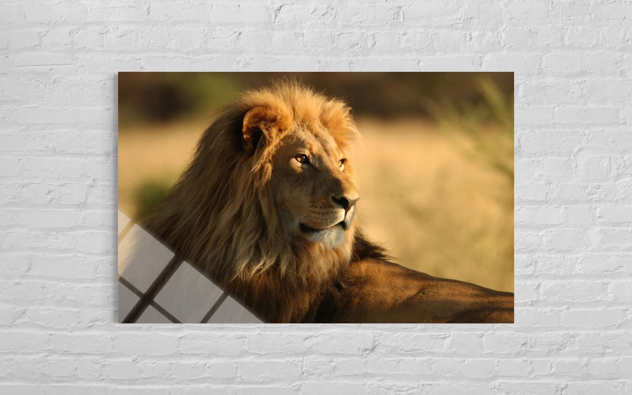 ASLAN
