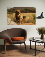 ASLAN