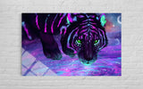 KAPLAN (NEON)