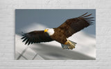 KARTAL