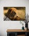 ASLAN