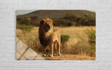 ASLAN