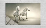 İKİ BEYAZ AT