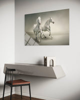 İKİ BEYAZ AT
