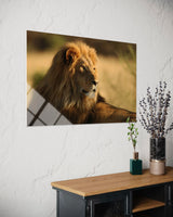 ASLAN