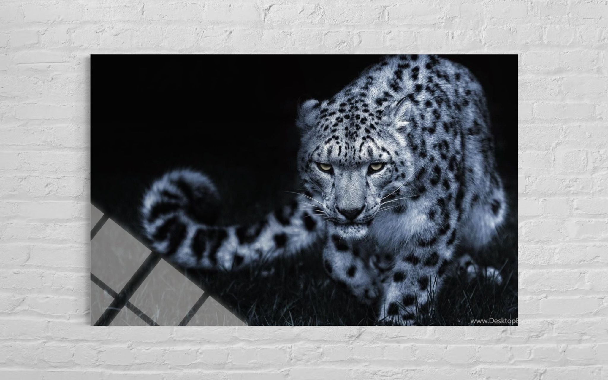 LEOPAR