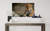 LEOPAR