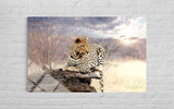 LEOPAR