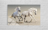 BEYAZ AT