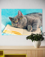 KEDİ
