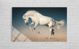 BEYAZ AT