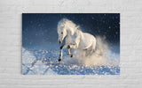 BEYAZ AT