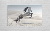 BEYAZ AT