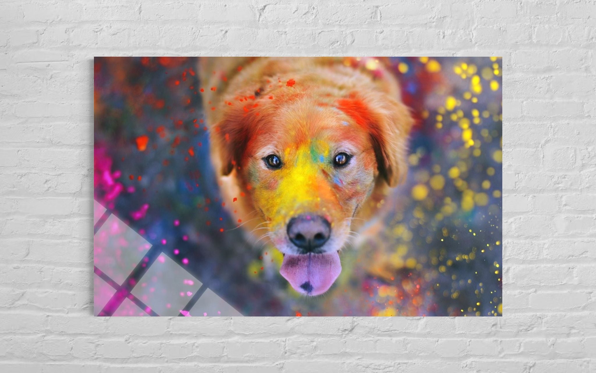 KÖPEK