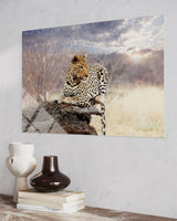 LEOPAR
