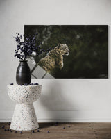 LEOPAR