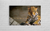 LEOPAR