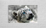 KAR LEOPARI