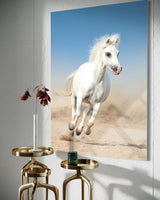 BEYAZ AT