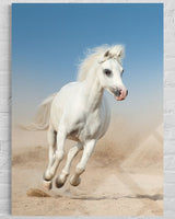 BEYAZ AT