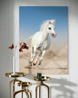BEYAZ AT