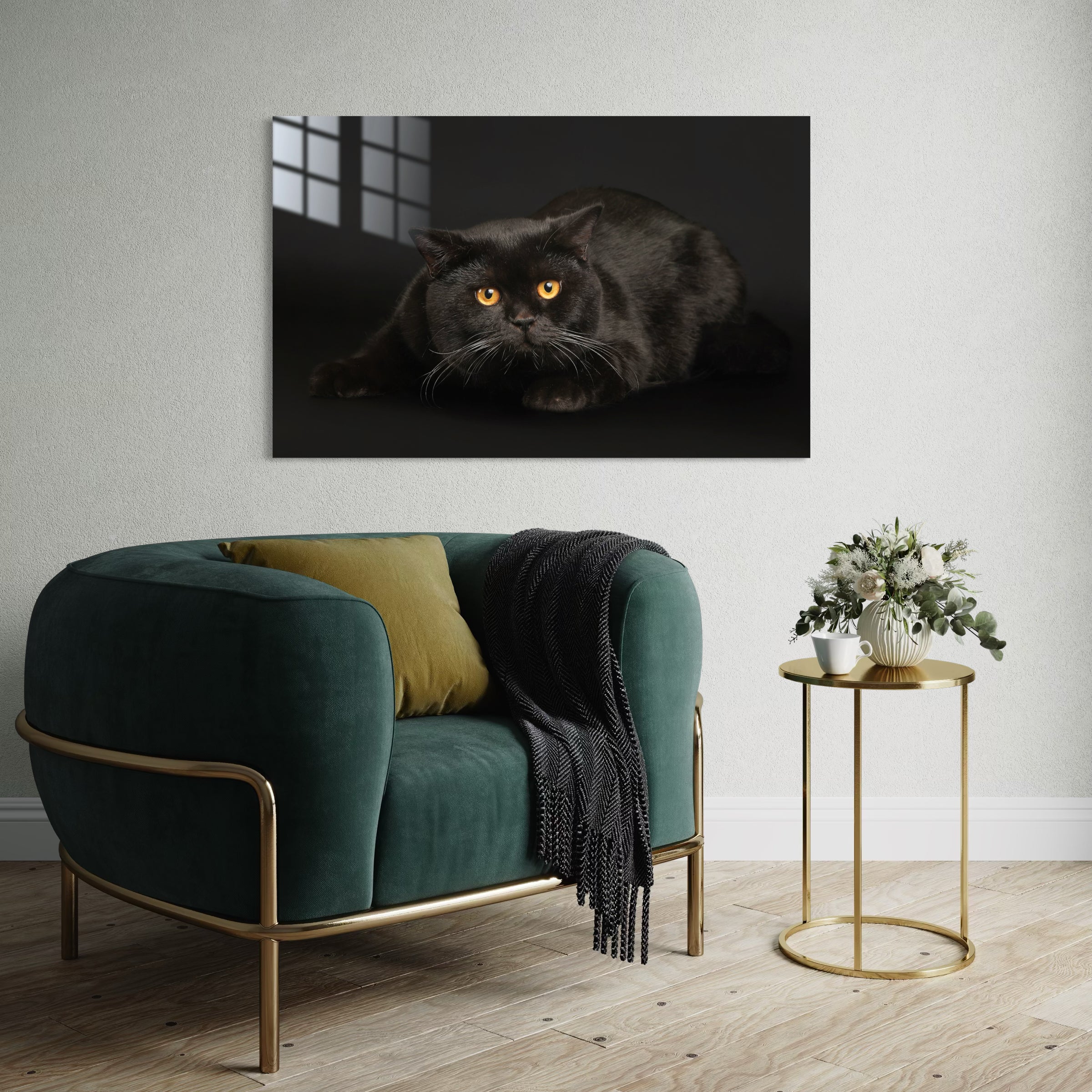 Kedi 101