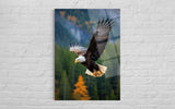 Kartal103